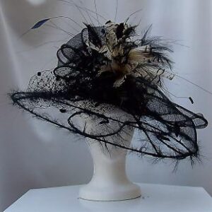 Wire framed hat